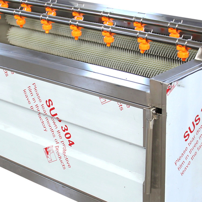 ローラールーツビート 産業用胡桃剥き機 1400kg/H ルーツ野菜剥き機