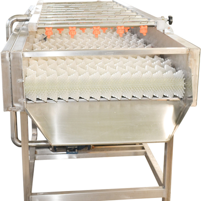 ステンレス鋼220v 果物野菜洗濯機