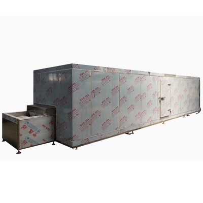 高精度ブストフリーザー 食品 個別速冷凍器 100kg/H
