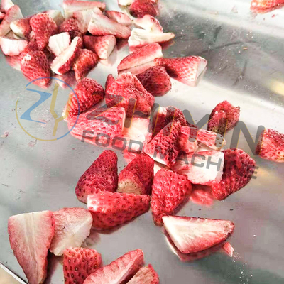 冷凍乾燥ジュジュブ加工設備 冷凍乾燥機